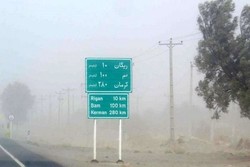 Extremely high PM level pollution closes offices in southeastern Iran