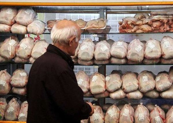 افزایش قیمت مرغ در بازار/نرخ به ۱۱ هزار و ۴۰۰ تومان رسید 