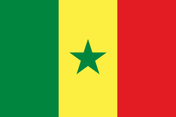 «کرونا» به سنگال هم رسید