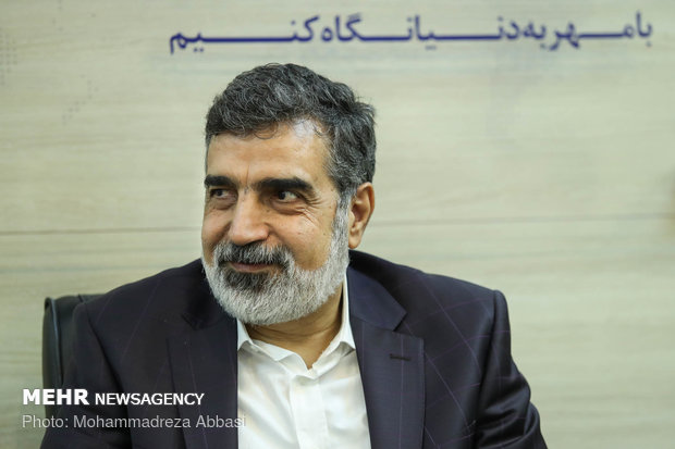 بازدید سخنگوی سازمان انرژی اتمی از خبرگزاری مهر