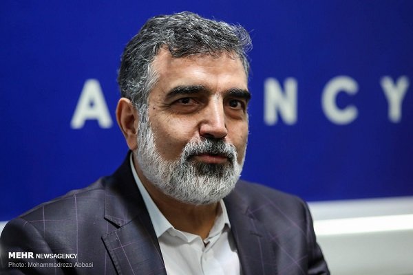 Iran nuclear coop. continues despite all obstacles: AEOI spox