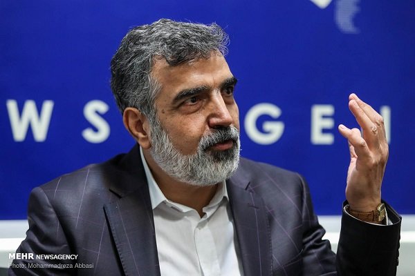 Kamalvandi terms Iran-IAEA agreement 'win-win'