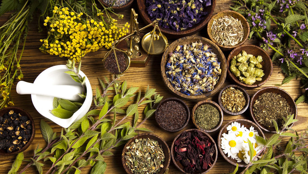 2863241 - Why is Traditional Medicine Popular?