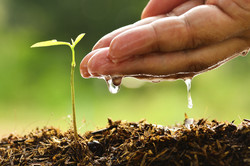 ‘There is a need to reform water policies’
