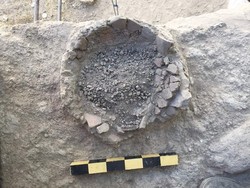 3000-year-old seeds unearthed in northwest Iran