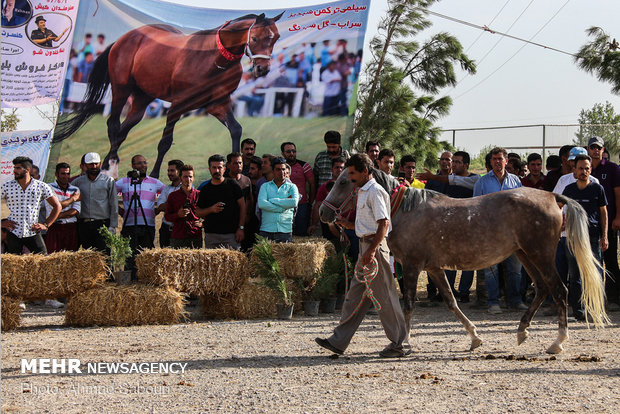 Shahroud hosts 3rd Horse Beauty Festival 