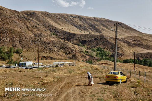 زنان سرپرست خانواده خلخال