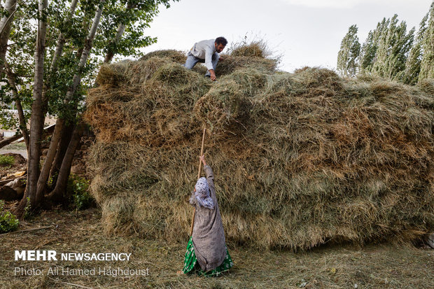 Women breadwinners in Khalkhal at a glance 