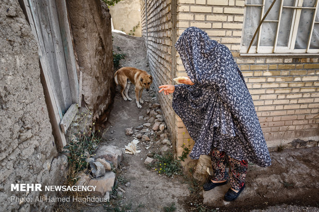 Women breadwinners in Khalkhal at a glance 