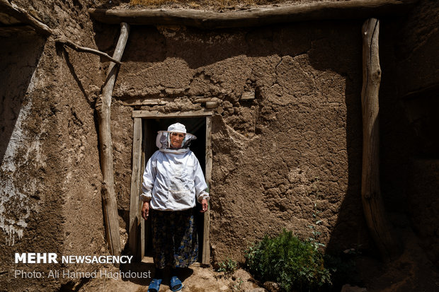 Women breadwinners in Khalkhal at a glance 