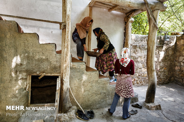 Women breadwinners in Khalkhal at a glance 