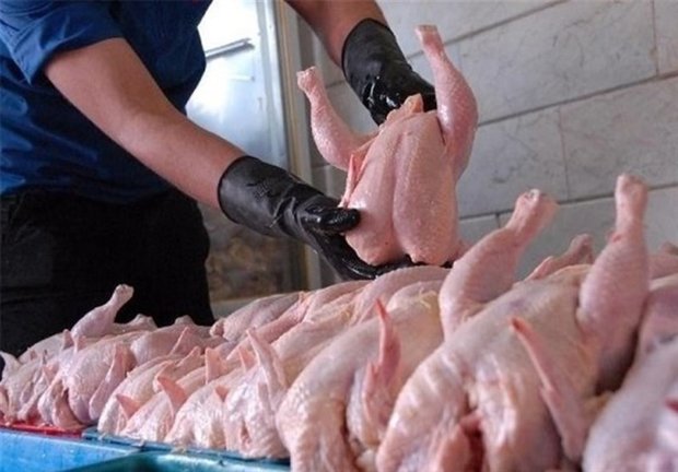 کاهش ۱۲ درصدی جوجه ریزی/دولت در قیمت مرغ تجدیدنظر کند