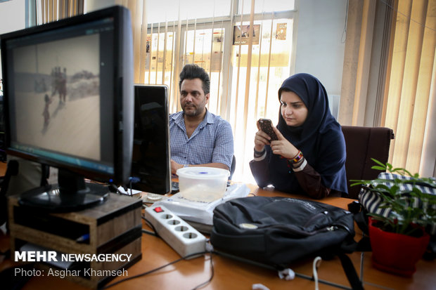 روز عکاس در سرویس عکس ایرنا