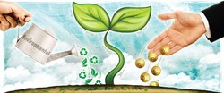 eco-friendly startups