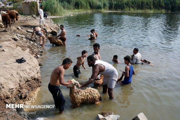 آماده شدن مسلمانان برای عید قربان‎
