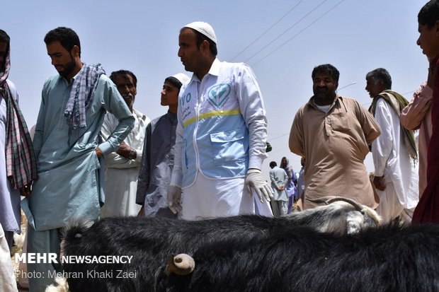 بازار داغ فروش دام  در مهرستان 