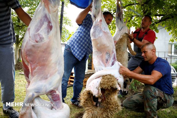 ۹ مرداد ماه آخرین مهلت واریز وجه قربانی حجاج