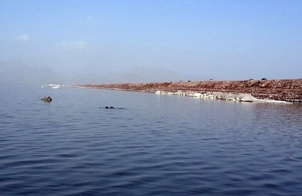 Lake Urmia water level increases by 7cm