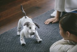 سگ رباتیک رقیب سگ های واقعی شد