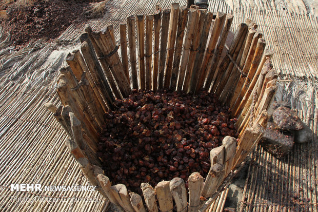 ‘Mogh and Moshta’ festival in Hormozgan province