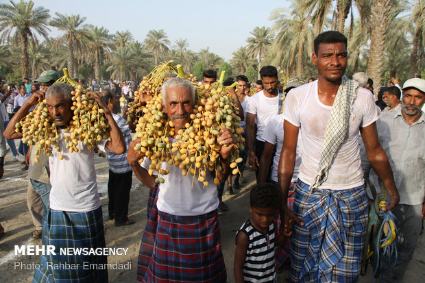 ‘Mogh and Moshta’ festival in Hormozgan province