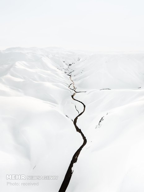 آناتومی قطب شمال‎