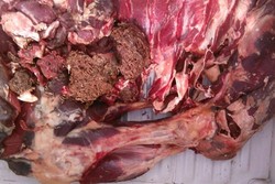 خطر فساد مواد غذایی در تابستان افزایش می یابد