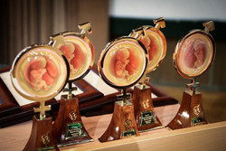 کسب جایزه بین المللی کرایوبیولوژی توسط محقق پژوهشگاه رویان