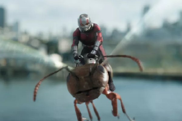مورچه‌ای‌ها نیم میلیاردی شدند/ استقبال از فیلم در چین