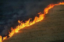 امکانات خوزستان جوابگوی آتش‌سوزی در مراتع و جنگل‌ها نیست