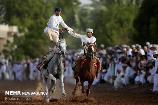 نمایش اسب ها در عمان‎