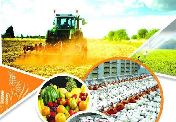 Vietnam to import Iranian agricultural products