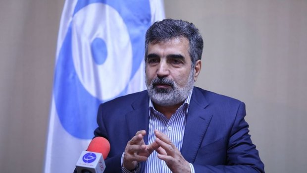 Iran may quit JCPOA if nuclear case sent to Security Council