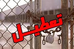 خودتحریمی و عدم تخصص بلای جان کارخانجات استان فارس است