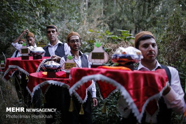 برگزاری جشنواره سیر همدان با محوریت ثبت جهانی