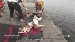 اليمن: 442 صيادا ضحايا جرائم العدوان بالساحل الغربي