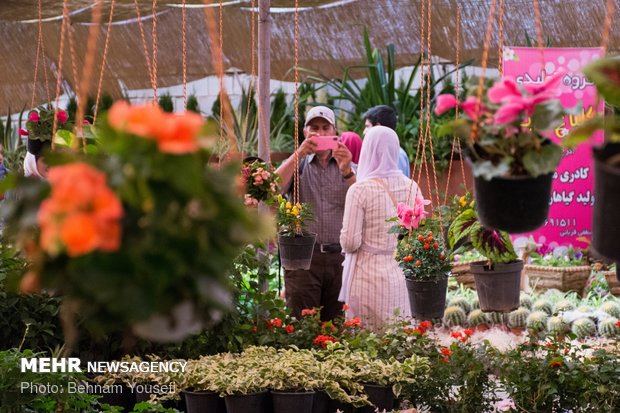 Flower festival in Markazi province