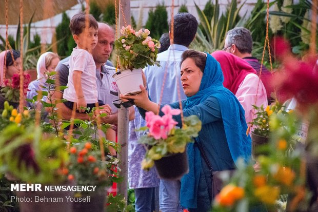 Flower festival in Markazi province