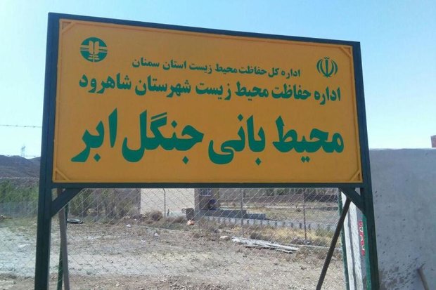 نگرانی از تخریب جنگل هیرکانی / گردشگری بدون زیرساخت بلای جان ابر شد 3