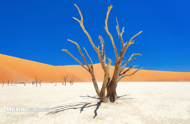 سواحل نامیبیا‎