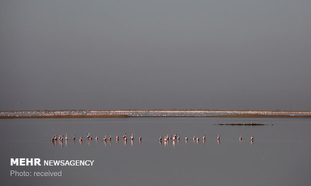 سواحل نامیبیا‎