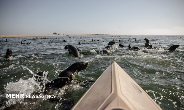 سواحل نامیبیا‎