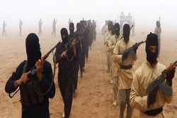 هلاکت ۳ تن از سرکردگان القاعده در مغرب اسلامی