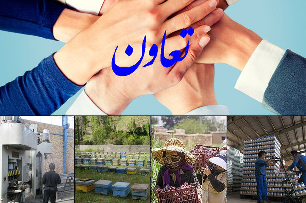 راه اندازی تعاونی‌های صادراتی در استان زنجان 