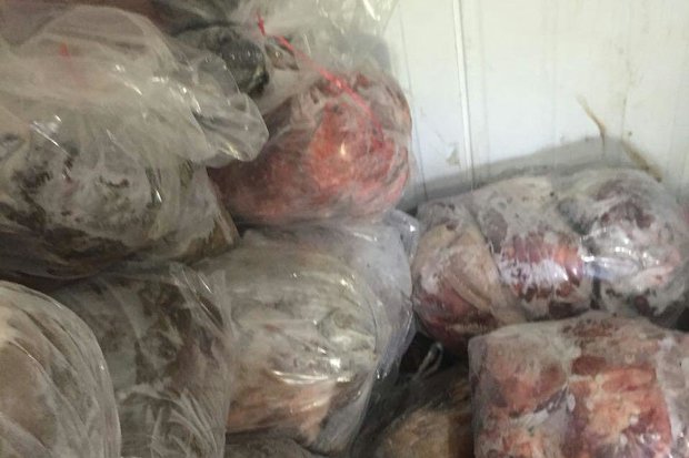 کشف گوشت چرخ کرده تقلبی و غیر بهداشتی در خاورشهر کشف گوشت چرخ کرده تقلبی و غیر بهداشتی در خاورشهر