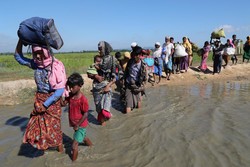 Rohingya