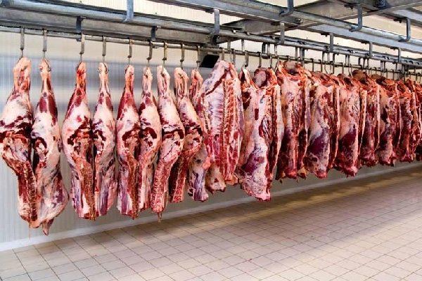 Frozen beef imports up by 7%