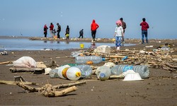 14% of total waste in Iran produced in northern coastal cities