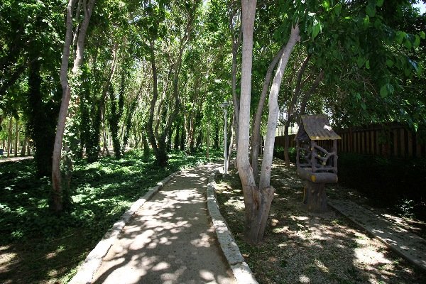 ۹۰۰ هکتار از پارک جنگلی ناژوان در تملک مالکان شخصی 