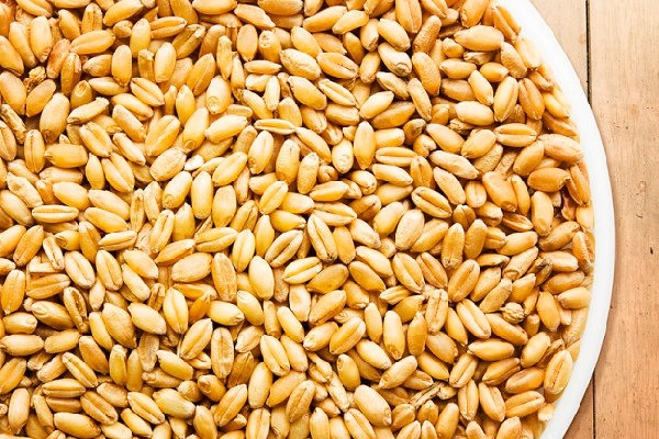 ۵ هزار تن گندم باکیفیت از دیگر نقاط کشور به استان سمنان وارد شد